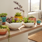 Adaline Organic Petal Bowl Set (Set of 2)