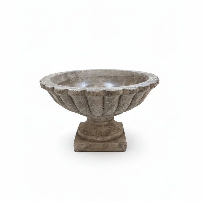 Sela Cement Tazza Compote Planter