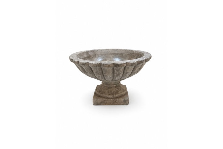 Sela Cement Tazza Compote Planter