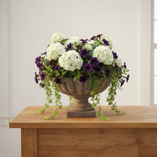 Sela Cement Tazza Compote Planter