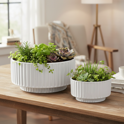 Lynn Ribbed Pedestal Planters (Set of 2)