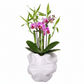 Odessa Ruffled Lobe Ceramic Floral Vase