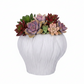 Aliona Bulbous Clay Planter with Wavy Rim & Vertical Ridges