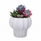 Darie Fluted Urn-Style Clay Planter