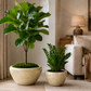 Raya Capri Shell Round Planter Set (Set of 2)