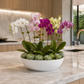 Ellis Dolomite Bowl in Matte White