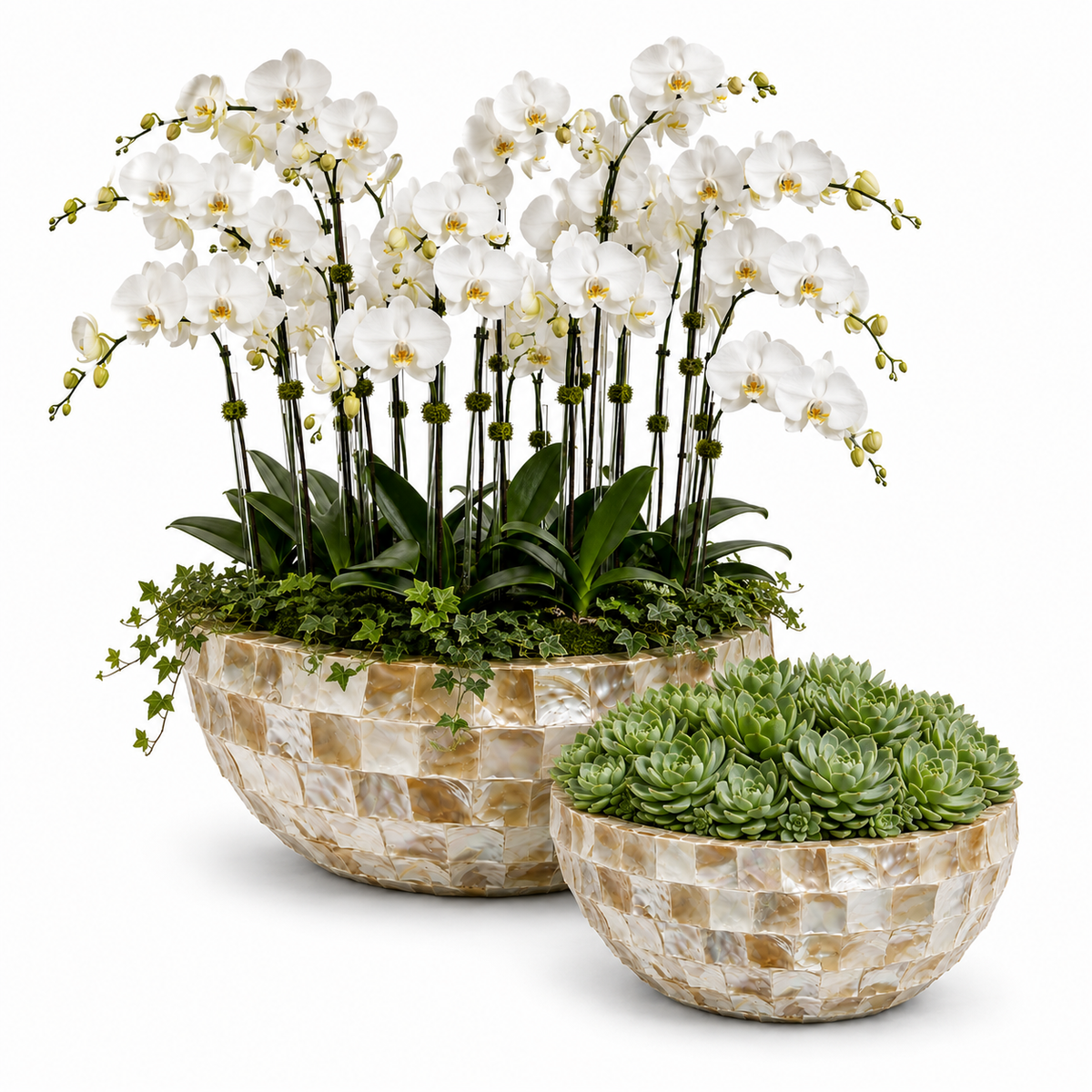 Two round mosaic planters on a white background, one filled with white orchids and green foliage, and the other with green succulents.