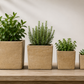 Lerio Textured Cube Ceramic Planter