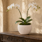 Rhett Rippled Ceramic Planter