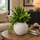 Adva Ceramic Rounded Matte Textured Vase