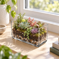 Aeloria Rectangular Glass Vase
