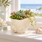 Aqua White Ceramic Shell Planter Decorative Pot