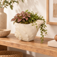Aqua White Ceramic Shell Planter Decorative Pot
