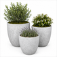 Azalea Handcrafted Cement Planter Set (Set of 3)