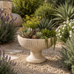 Briary Fluted Pedestal Cement Bowl Planter - Large