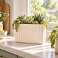 Bridget Cement Tall Rectangular Pot
