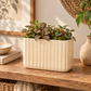 Bridget Cement Tall Rectangular Pot