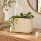 Bridget Cement Tall Rectangular Pot