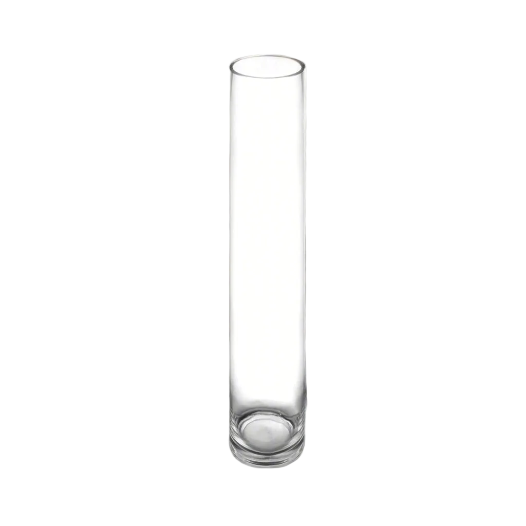 A tall, slender clear glass cylinder vase with a flat circular base, shown against a plain white background.