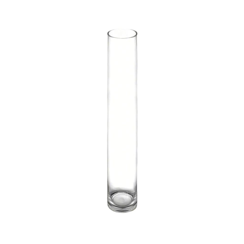 A tall, slender clear glass cylinder vase with a flat circular base, shown against a plain white background.