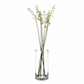 Miri Clear Glass Cylinder Vase