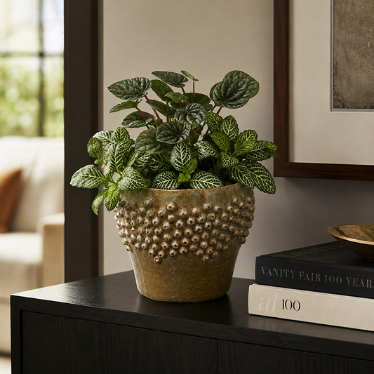 Carm Raised Bump Ceramic Pot