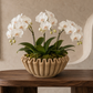 Rena Fluted Cement Bowl Planter