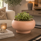 Cleo Terracotta Compote Planter