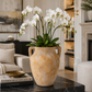 Dahlia Double-Handled Ceramic Urn Vase