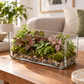 Elaris Rectangular Clear Glass Trough
