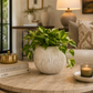 Esmar Ribbed Stoneware Planter