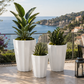 Ezrael Faceted Porcelain Planter Set (Set of 3)