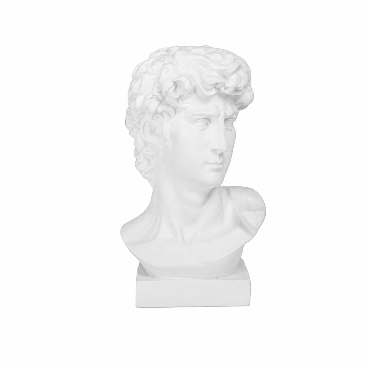A white classical-style bust sculpture of a man with curly hair, mounted on a rectangular base, shown against a plain white background.