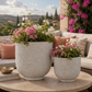 Irina Textured Cylinder Planters with Recessed Pedestal Base (Set of 2)