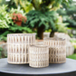 Ivaryn Distressed Ivory Planter Set (Set of 3)
