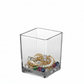 Lizze Clear Glass Cube Vase