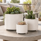 Ovie Diamond Ceramic Planters (Set of 3)