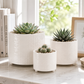 Ovie Diamond Ceramic Planters (Set of 3)