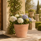 A terracotta planter filled with white, light purple, and blue hydrangeas sitting on a stone patio in front of a beige stucco wall with climbing green vines.