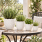 Portina Ceramic Round Planter Set (Set of 4)