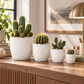 Portina Ceramic Round Planter Set (Set of 4)