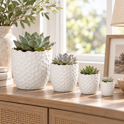Portina Ceramic Round Planter Set (Set of 4)