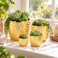 Portina Ceramic Round Planter Set (Set of 4)