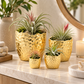 Portina Ceramic Round Planter Set (Set of 4)