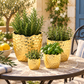Portina Ceramic Round Planter Set (Set of 4)