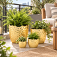 Portina Ceramic Round Planter Set (Set of 4)