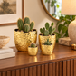 Portina Ceramic Round Planter Set (Set of 4)