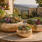 Prudence Embossed Round Bowl Planter Set (Set of 3)
