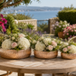 Prudence Embossed Round Bowl Planter Set (Set of 3)