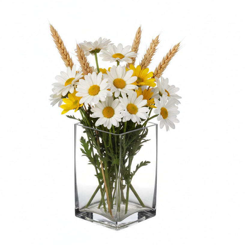 Rectangle Clear Glass-Urban Trends Collection-Clear-Small-Urban Trends Collection